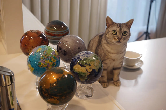 MOVA Globeと猫が並んでいるインテリアシーン